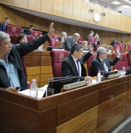 Senado aprueba pedido de informes sobre adjudicaciones del programa Hambre Cero en el Departamento Central